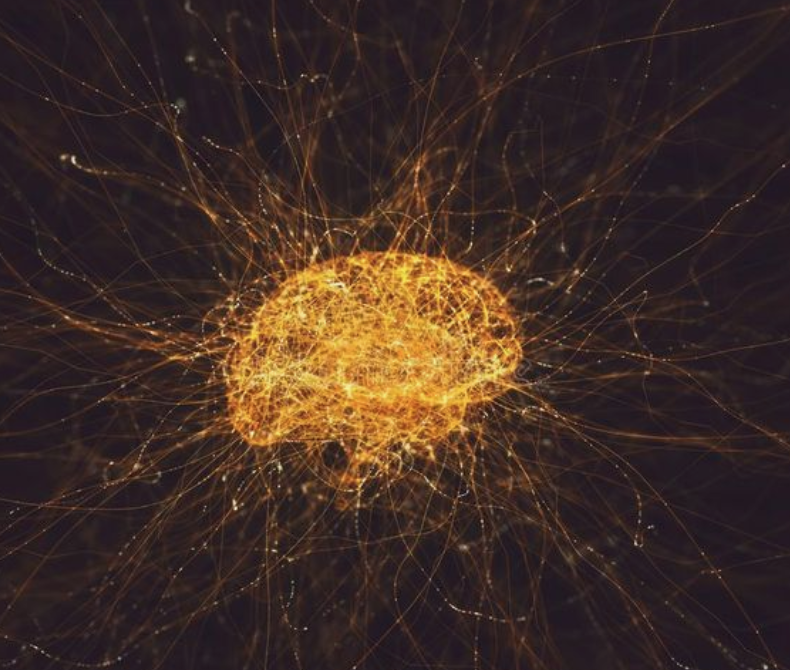 Inteligencia humana cerebro