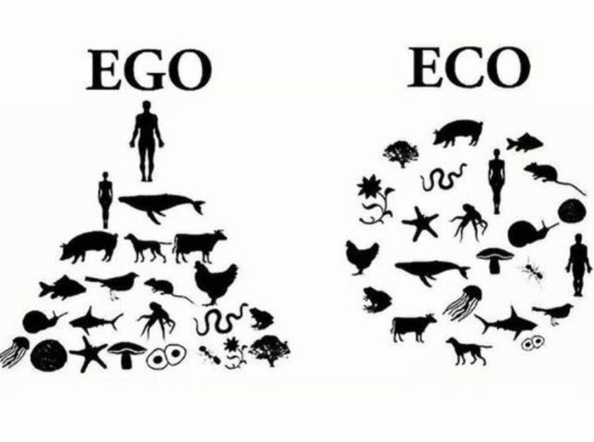 Inteligencia humana