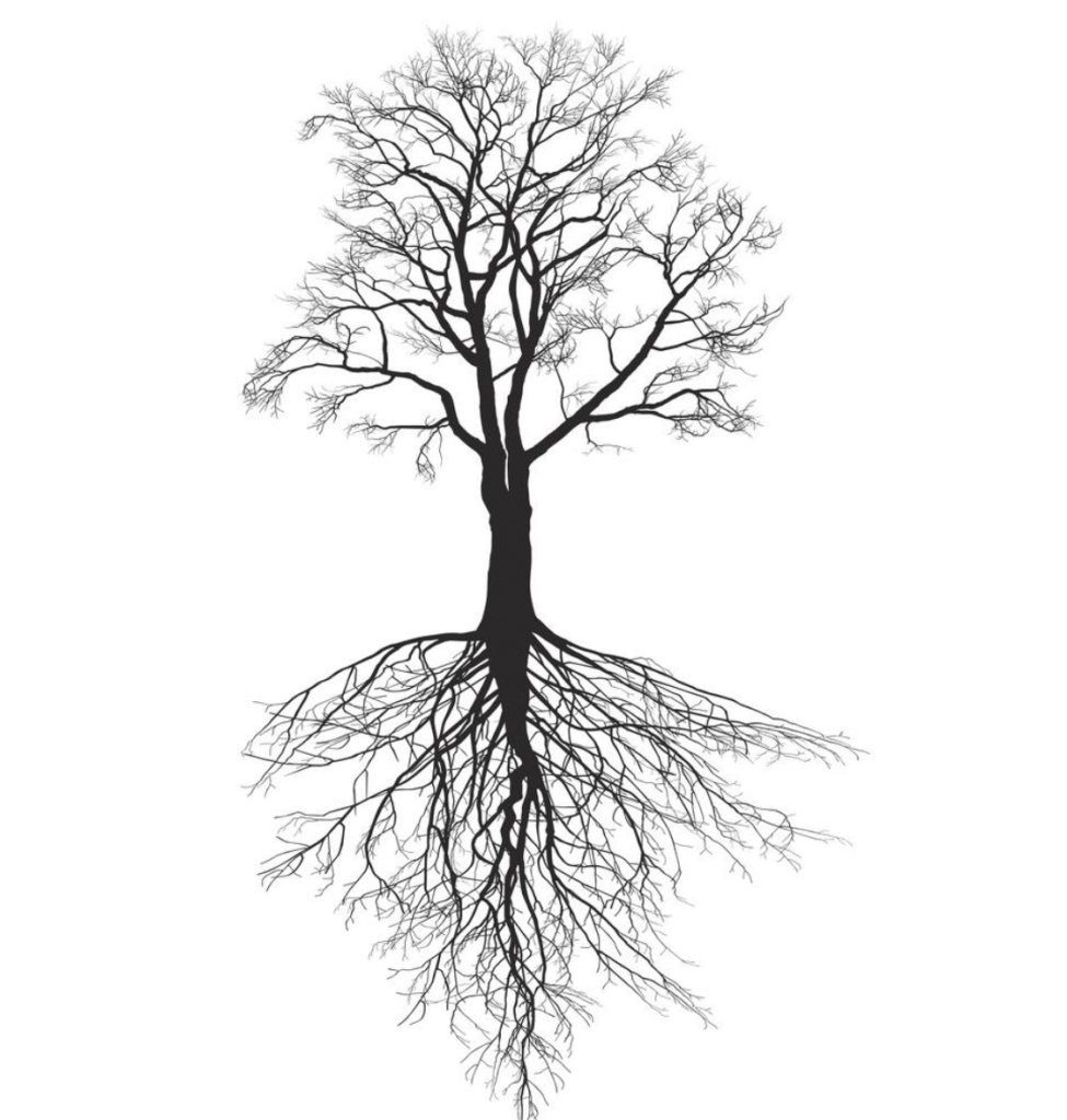 El fin del Cuerpo y Mente